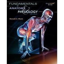 Fundamentals of Anatomy & Physiology 3rd Edition